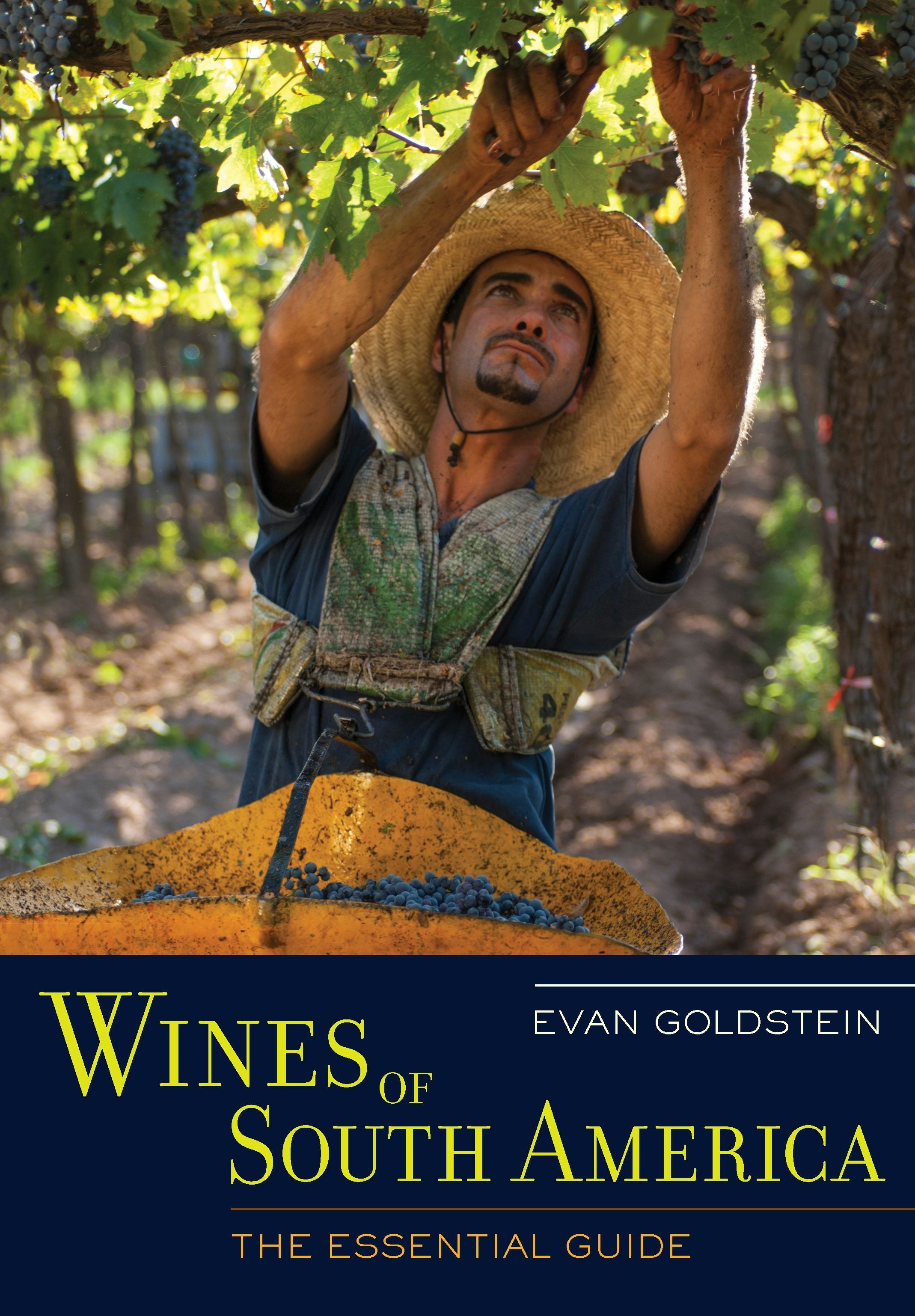 Book cover image for Wines of South America ISBN: 9780520958753